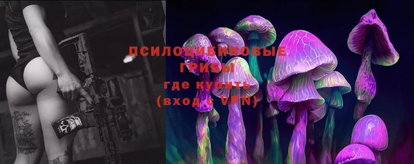 герыч Пестово