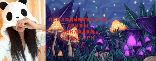герыч Пестово