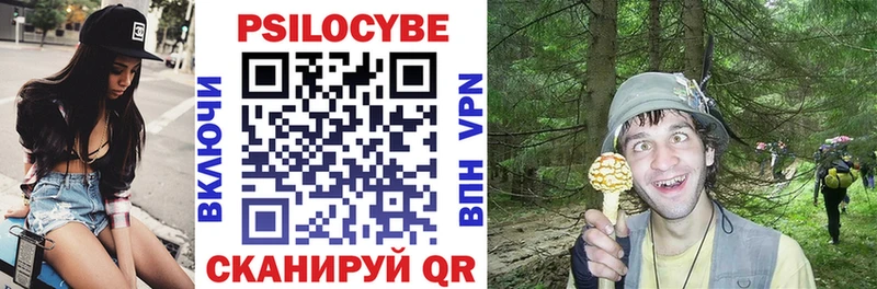 Псилоцибиновые грибы мицелий  Лаишево 