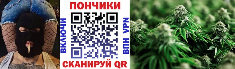 ОМГ ОМГ tor  Лаишево  Конопля гибрид 
